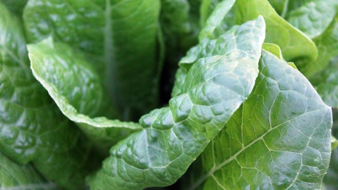 Spinach magnesium intake for HNPP hereditary neuropathy